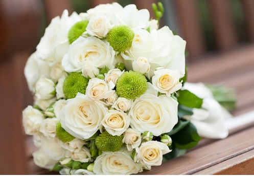 Beautiful Flowers/Roses